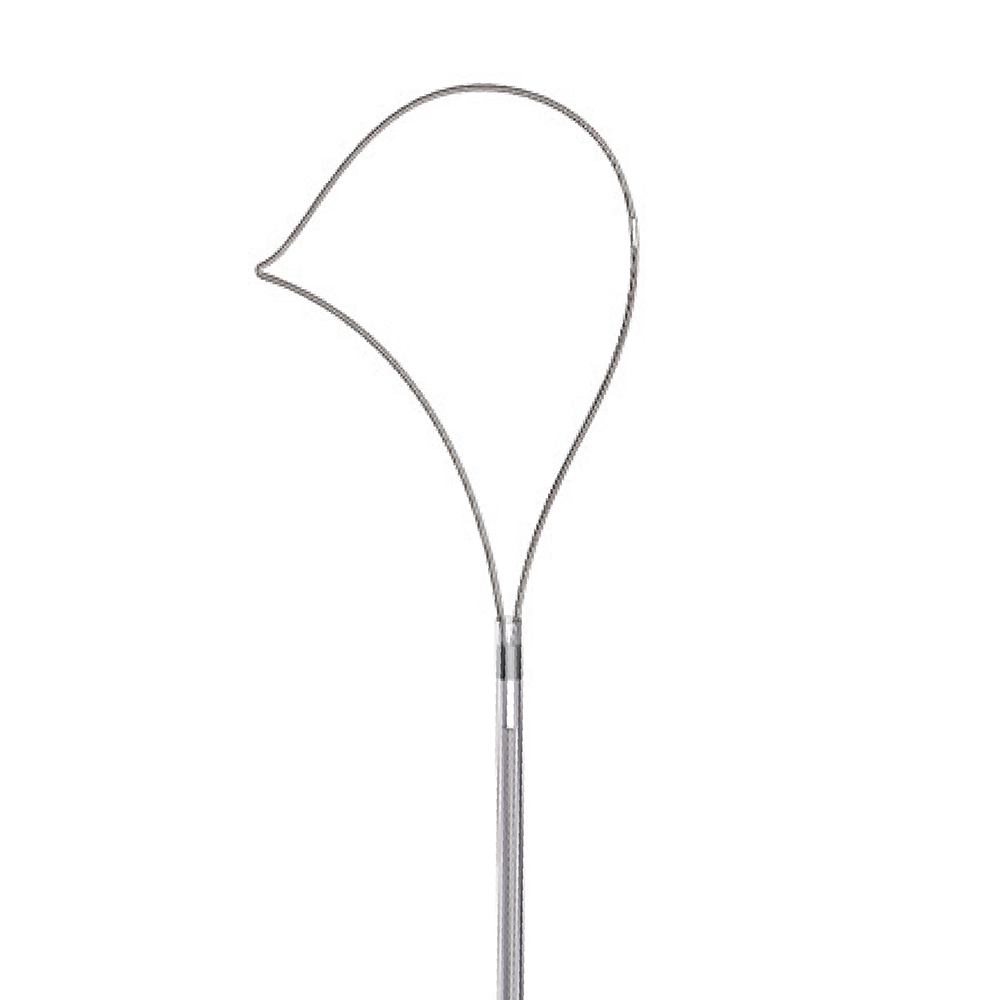 Disposable Polyp Snare