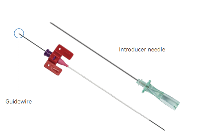 Arterial Catheter