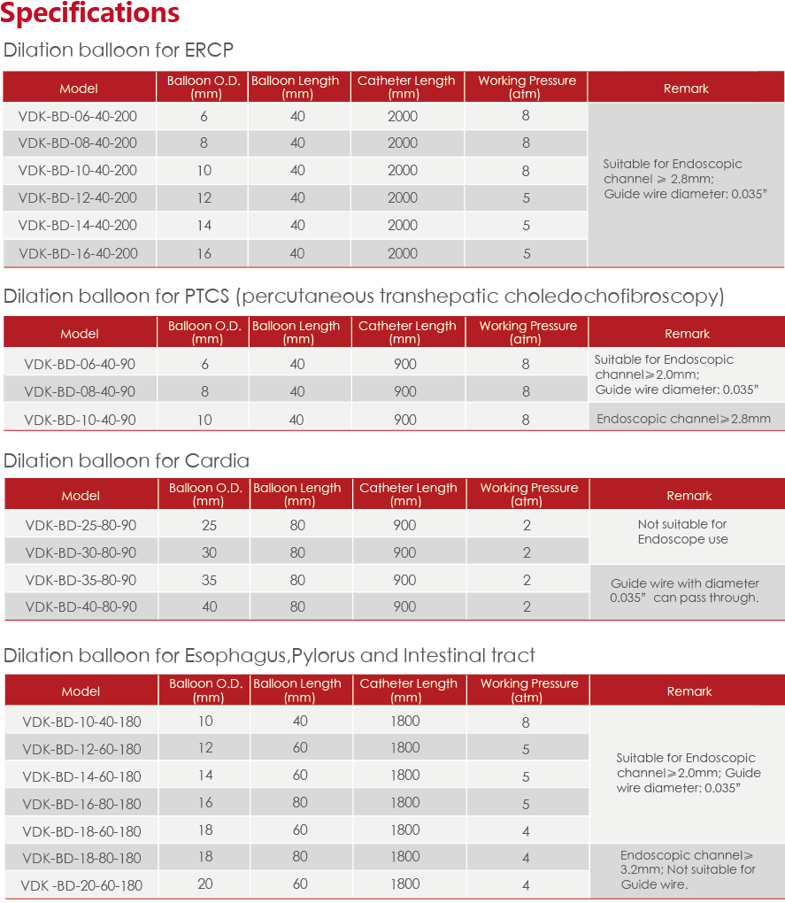 Gastrointestinal and Biliary Balloon Catheter