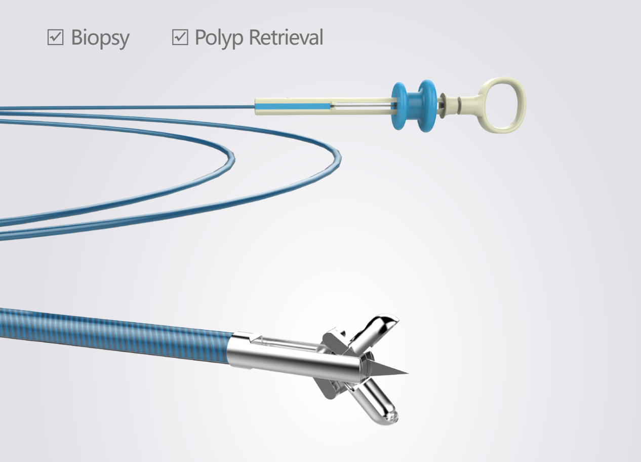 Disposable Non-electric Biopsy Forceps 100 PCS